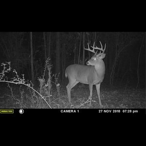 Meet your Posher, Cody